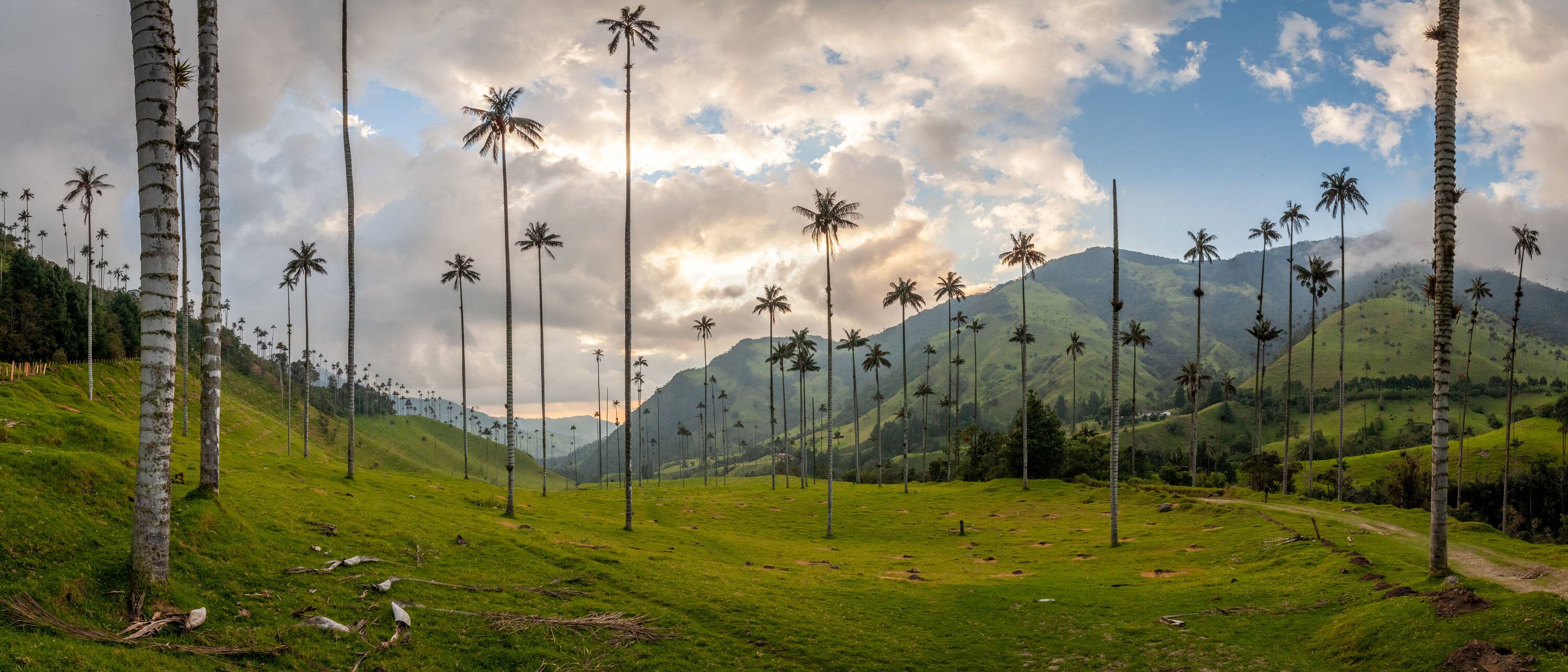 Armenia, Andes Mountains, Coffee Region, Bogotá