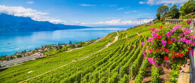 Switzerland Vacation Package | Adventures by Disney